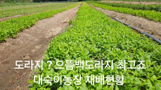 조병대님의 기타작물 · 영농일지 작성글 사진