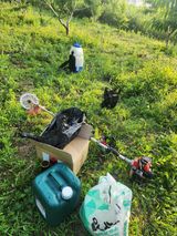 팜모닝 복숭아·영농일지 게시글 이미지