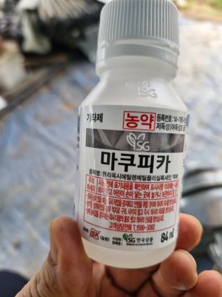 영평골님의 복숭아 · 영농일지 작성글 사진