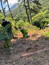 팜모닝 기타작물·영농일지 게시글 이미지