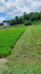 팜모닝 기타작물·영농일지 게시글 이미지