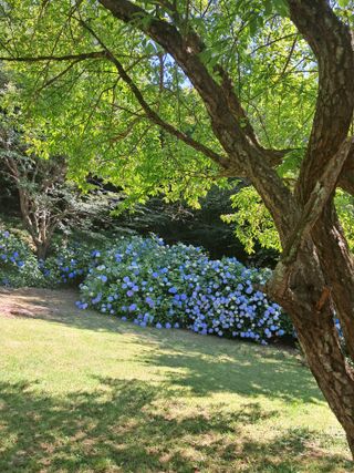 고산국토사랑풀뽑기님의 기타작물 · 영농일지 작성글 사진