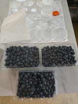 팜모닝 기타작물·영농일지 게시글 이미지