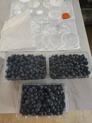 K1588님의 기타작물 · 영농일지 작성글 사진