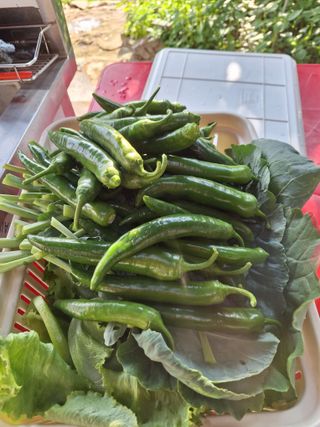 정희군님의 감자 · 영농일지 작성글 사진