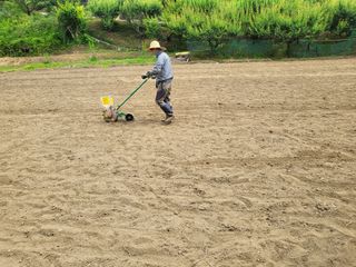 최문열님의 기타작물 · 영농일지 작성글 사진