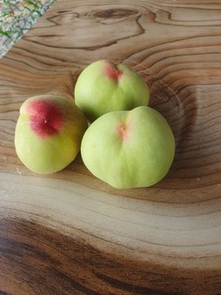 임마누엘님의 복숭아 · 영농일지 작성글 사진