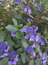 팜모닝 기타작물·영농일지 게시글 이미지