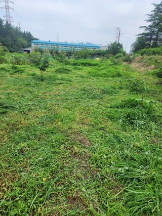 박병한님의 기타작물 · 영농일지 작성글 사진