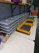 팜모닝 블루베리·영농일지 게시글 이미지