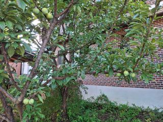 형남영님의 기타작물 · 영농일지 작성글 사진