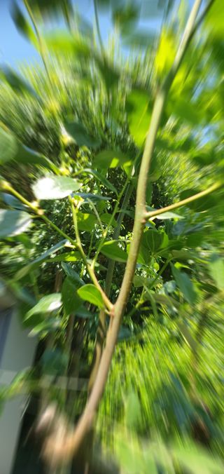 반성식님의 기타작물 · 영농일지 작성글 사진