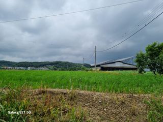 권오정님의 벼 · 영농일지 작성글 사진