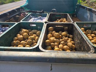 강화화도님의 기타작물 · 영농일지 작성글 사진