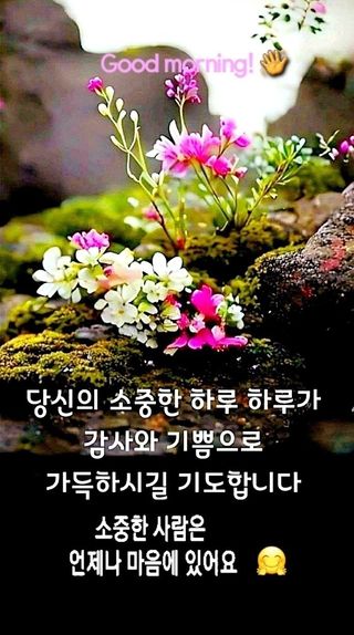 김광호님의 기타작물 · 영농일지 작성글 사진