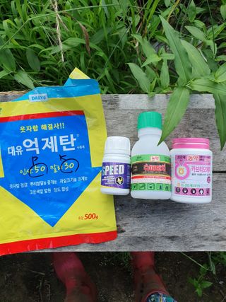 서선옥님의 작성글 사진