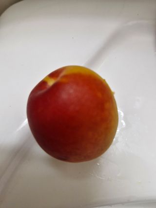 매실향기차향기님의 매실 · 영농일지 작성글 사진