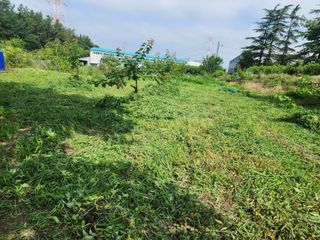 박병한님의 기타작물 · 영농일지 작성글 사진