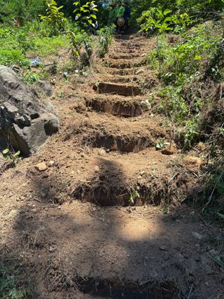 백민곤님의 기타작물 · 영농일지 작성글 사진
