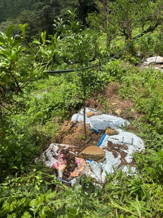 백민곤님의 기타작물 · 영농일지 작성글 사진