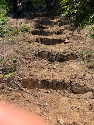 백민곤님의 기타작물 · 영농일지 작성글 사진