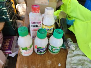 드래곤 님의 고추 · 영농일지 작성글 사진