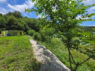 강호지인님의 기타작물 · 영농일지 작성글 사진