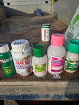 팜모닝 기타작물·영농일지 게시글 이미지