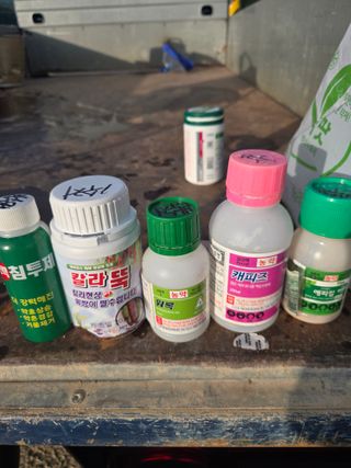 김진수님의 기타작물 · 영농일지 작성글 사진