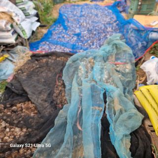 이천산수유님의 기타작물 · 영농일지 작성글 사진