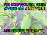 팜모닝 기타작물·영농일지 게시글 이미지