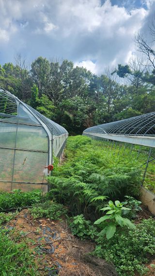 봉담고추님의 콩 · 영농일지 작성글 사진