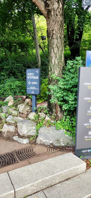 윤용성님의 기타작물 · 영농일지 작성글 사진