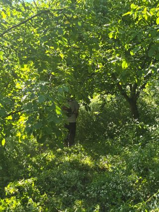 석송호두농원님의 기타작물 · 영농일지 작성글 사진