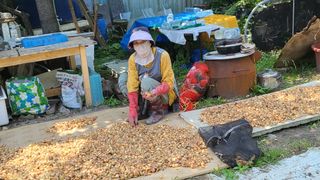 괴동조합장님의 파 · 영농일지 작성글 사진