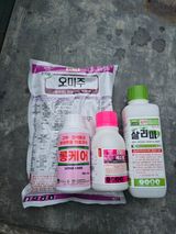 팜모닝 복숭아·영농일지 게시글 이미지