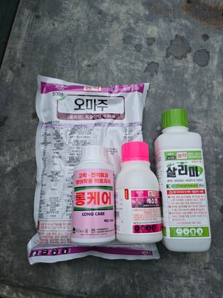 신현오님의 복숭아 · 영농일지 작성글 사진