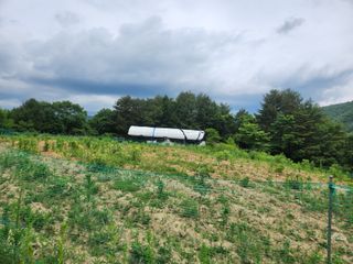 방태산용님의 들깨 · 영농일지 작성글 사진