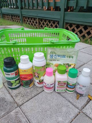 남기탁 님의 고추 · 영농일지 작성글 사진