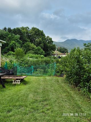 나오리농장님의 토마토 · 영농일지 작성글 사진