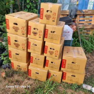 이천산수유님의 기타작물 · 영농일지 작성글 사진