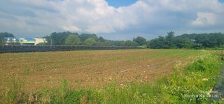 엄성열님의 콩 · 영농일지 작성글 사진