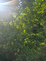 팜모닝 기타작물·영농일지 게시글 이미지