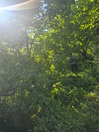 석송호두농원님의 기타작물 · 영농일지 작성글 사진