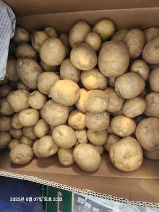 최은오님의 감자 · 영농일지 작성글 사진