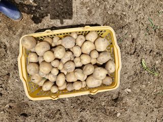 낙엽교목류21691님의 기타작물 · 영농일지 작성글 사진