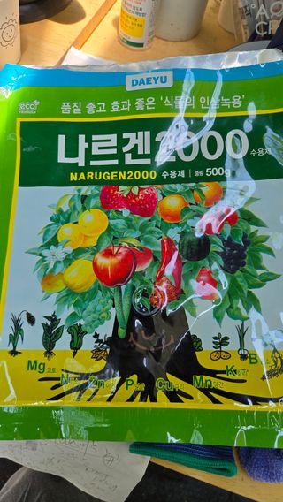 전진원님의 포도 · 영농일지 작성글 사진