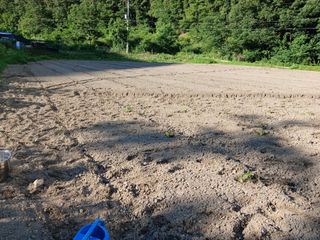 법당골길 우대영님의 기타작물 · 영농일지 작성글 사진