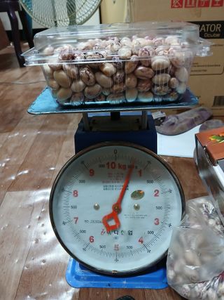 오름머리님의 기타작물 · 영농일지 작성글 사진