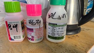 전진원님의 포도 · 영농일지 작성글 사진